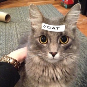 How to Write a Good Code Comment